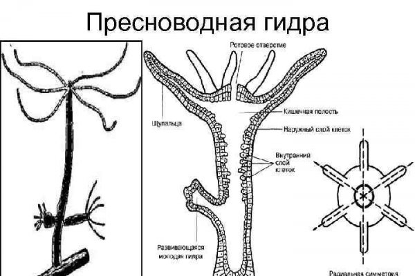 Как зайти на кракен через тор