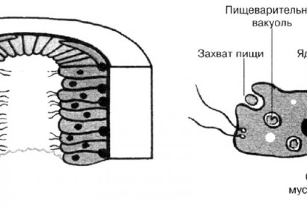 Kraken новая ссылка