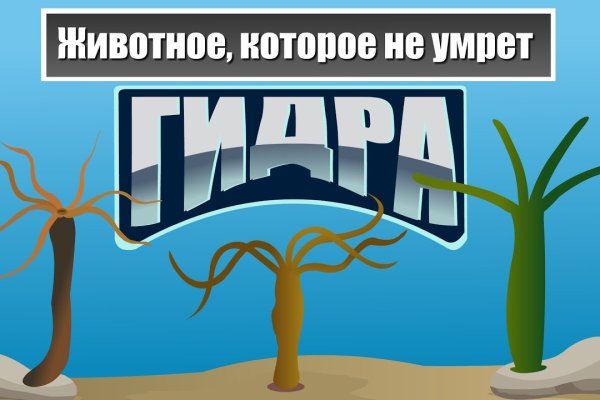 Кракен что продают